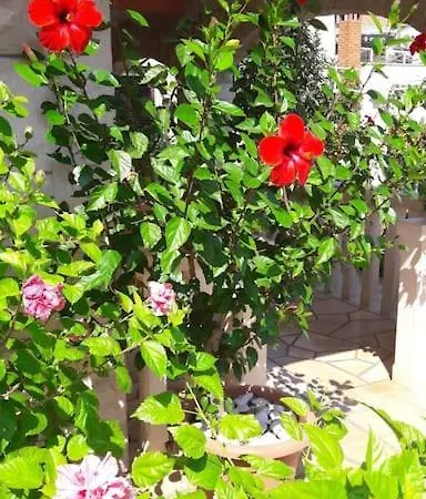 Apartment Veronika A - The Beauty Of Hibiscuses Supetar